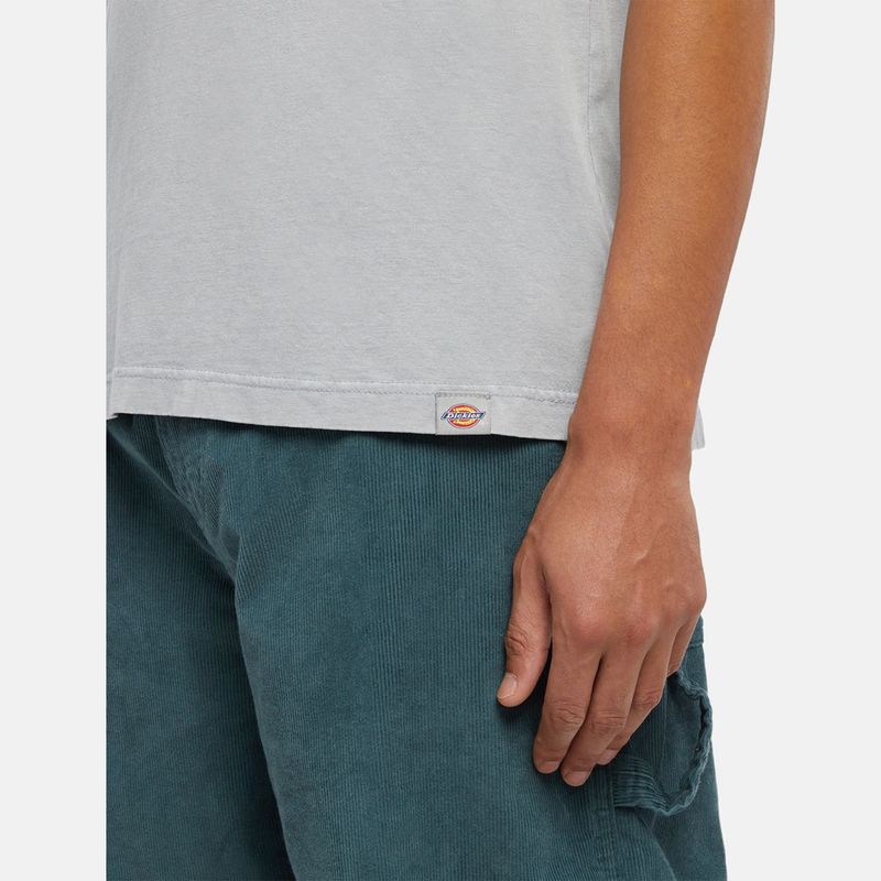 dickies-plentywood-gris-dk0a866bd061-4.jpeg