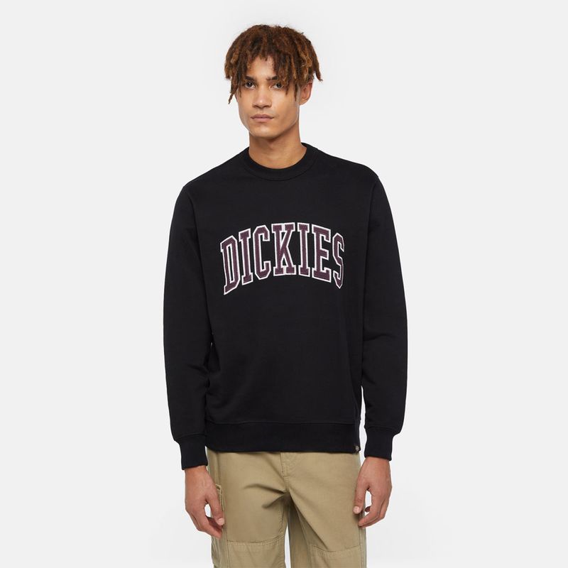 dickies-aitkin-negra-dk0a4xabj941-1.jpeg