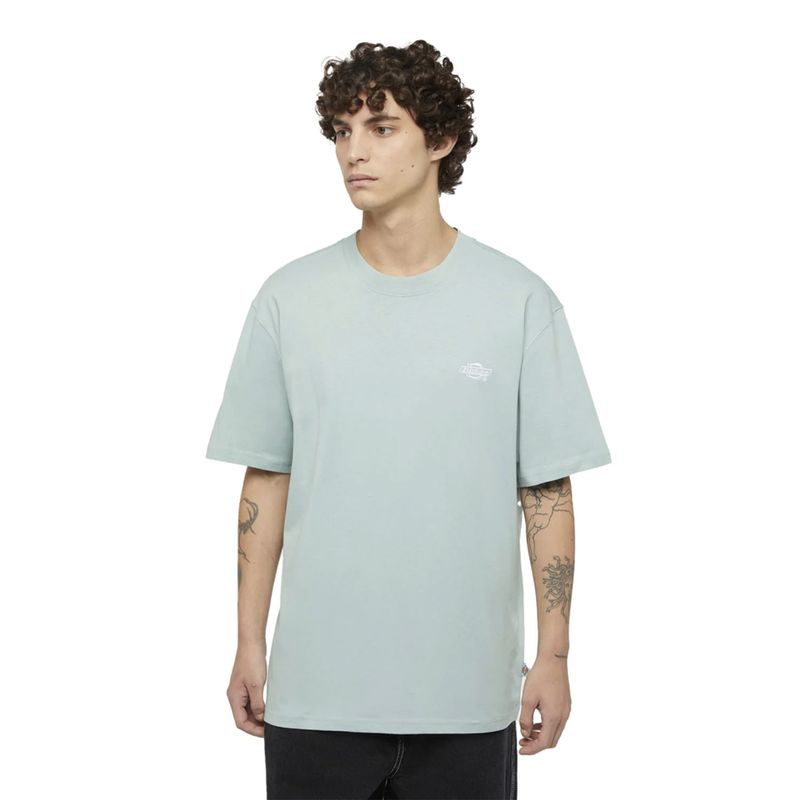 dickies-summerdale-azul-dk0a4yaij591-1.jpeg