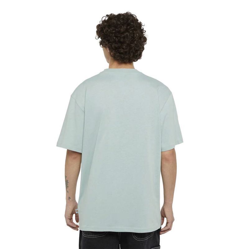 dickies-summerdale-azul-dk0a4yaij591-2.jpeg