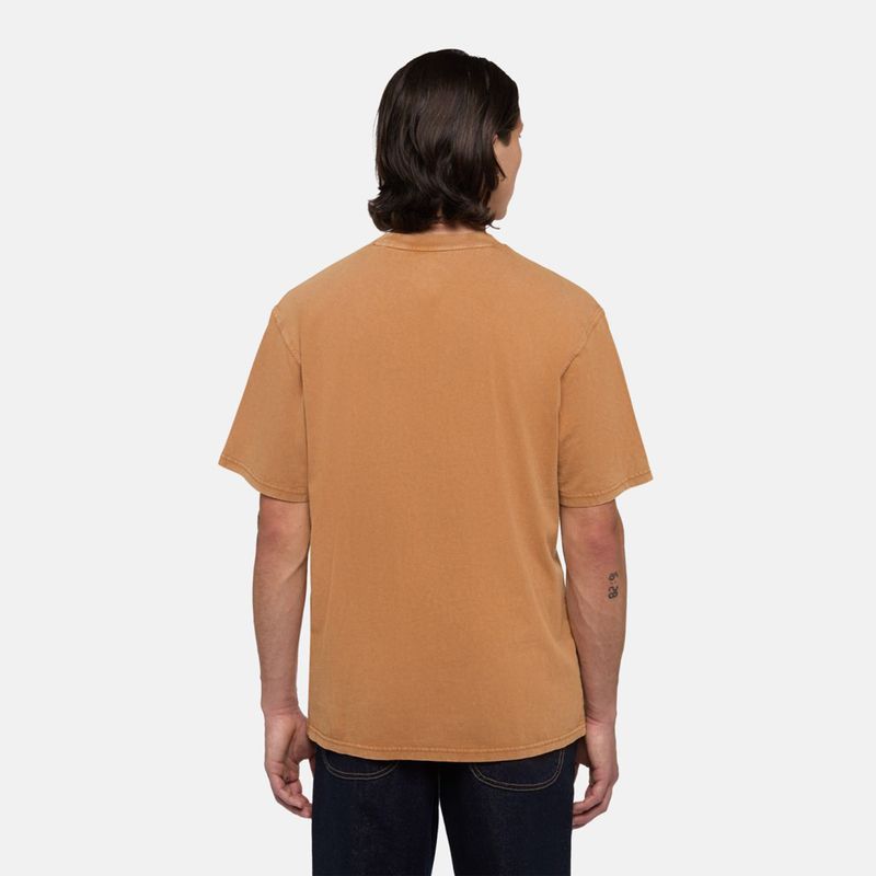 dickies-plentywood-marron-dk0a866b0bd1-2.jpeg