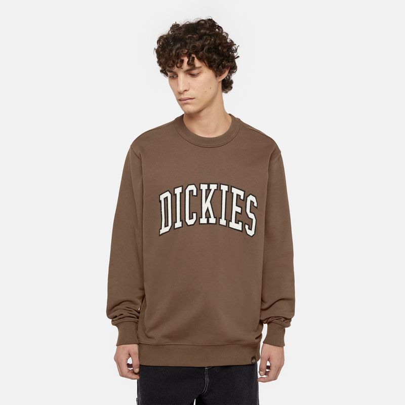 dickies-aitkin-marron-dk0a4xabj961-1.jpeg