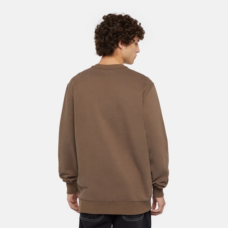 dickies-aitkin-marron-dk0a4xabj961-2.jpeg