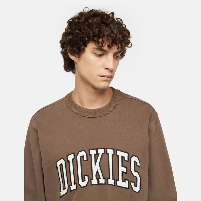 dickies-aitkin-marron-dk0a4xabj961-3.jpeg