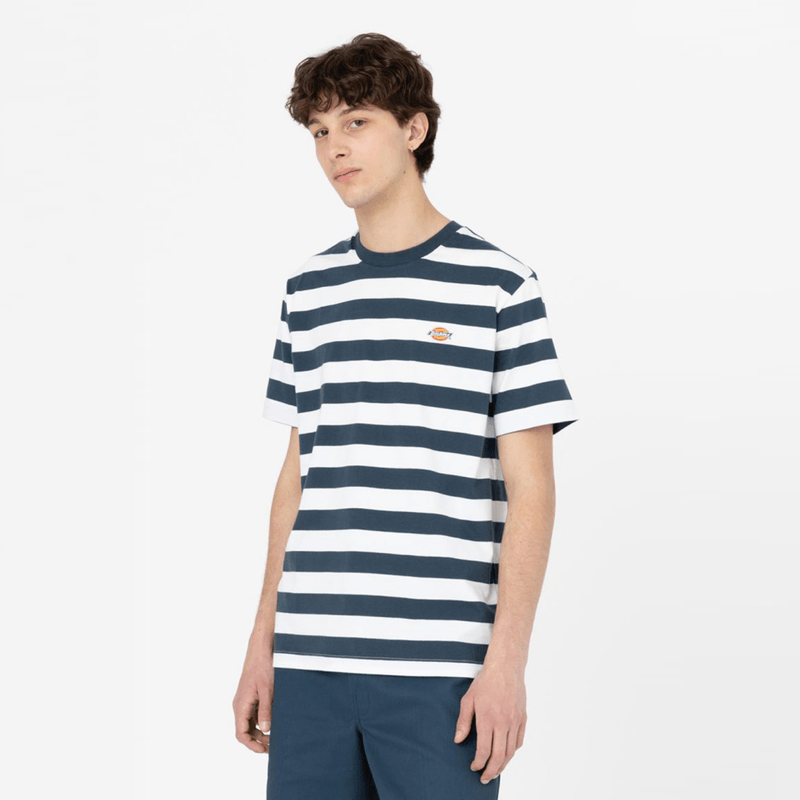 dickies-rivergrove-azul-dk0a4y8yaf01-1.png