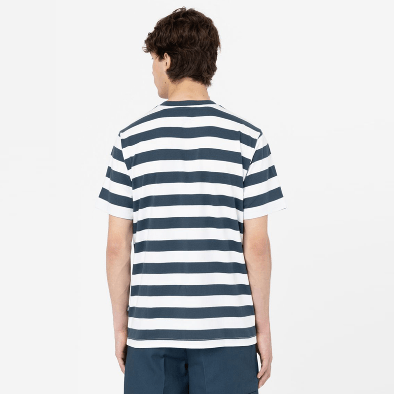 dickies-rivergrove-azul-dk0a4y8yaf01-2.png