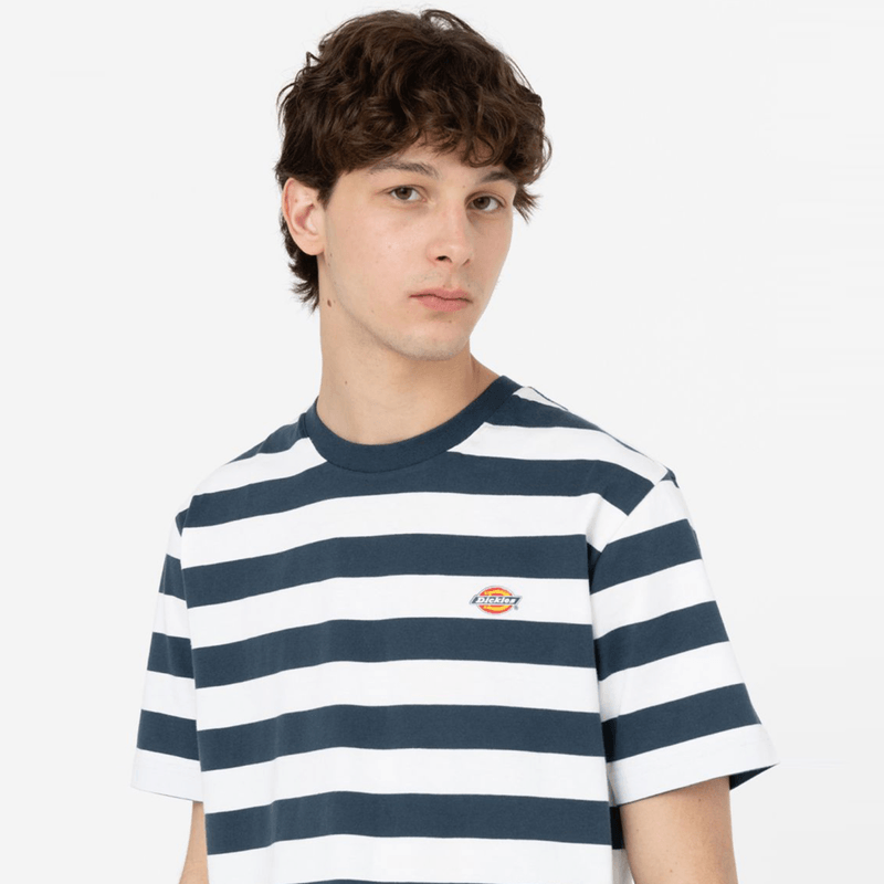 dickies-rivergrove-azul-dk0a4y8yaf01-3.png