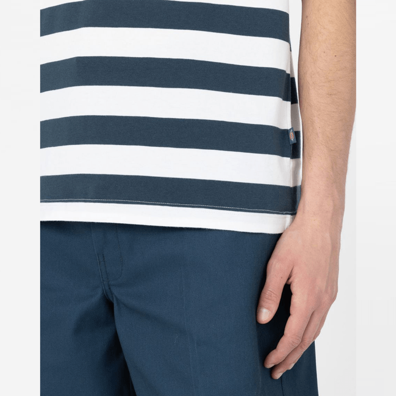 dickies-rivergrove-azul-dk0a4y8yaf01-4.png