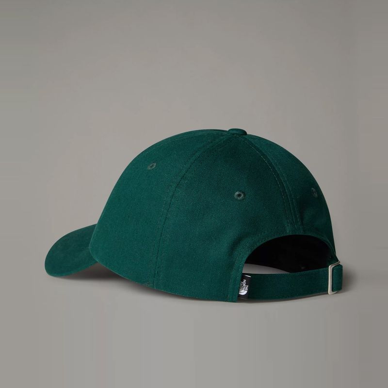 the-north-face-norm-verde-nf0a7who1ki1-4.jpeg