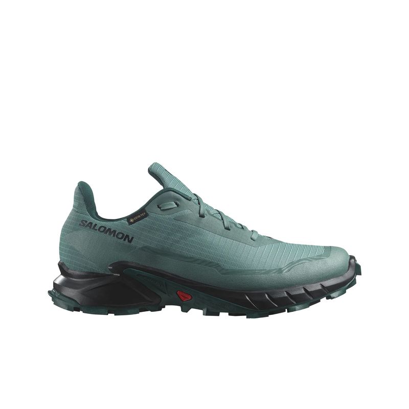 salomon-alphacross-5-gore-tex-verdes-l47595000-1.jpeg