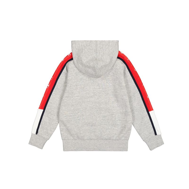 champion-hooded-sweatshirt-gris-306856-em021-2.jpeg