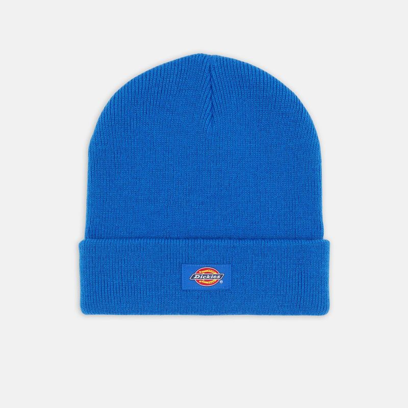 dickies-gibsland-azul-dk0a4x7kj531-2-jpeg