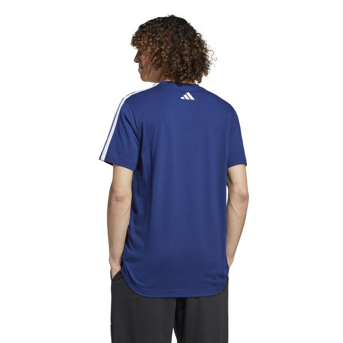 Codes Collegiate Linear Graphic