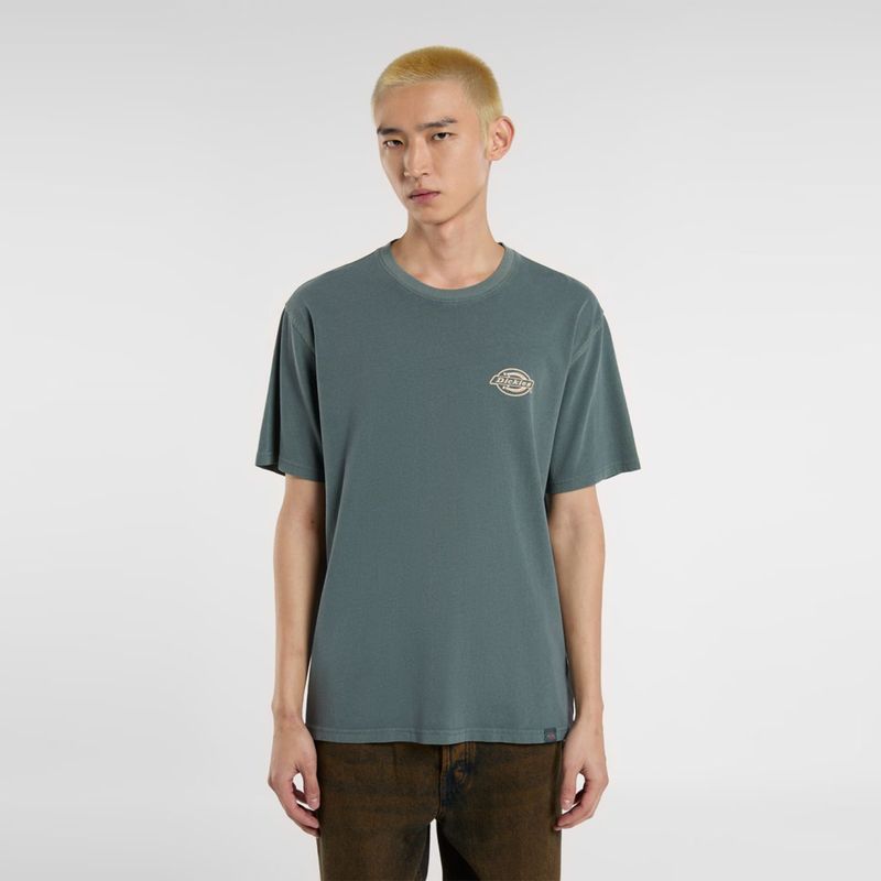 dickies-station-service-verde-dk0a4z8xg701-1.jpeg