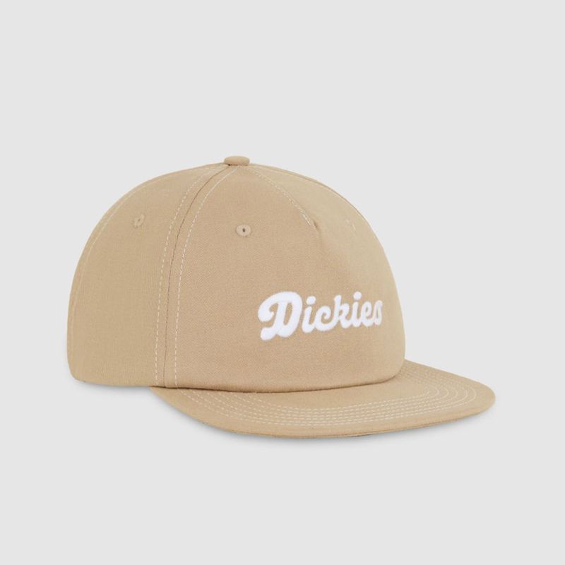 dickies-riverbend-beige-dk0a4z6i0ds1-2.jpeg