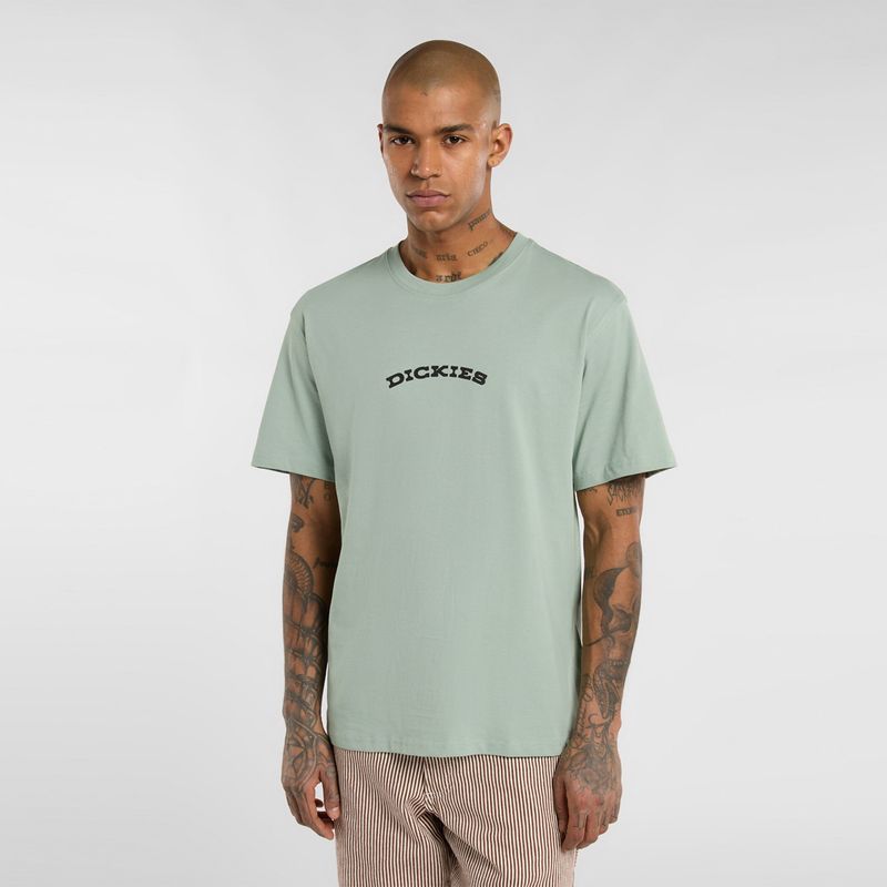 dickies-outdoor-verde-dk0a4z8pk361-1.jpeg