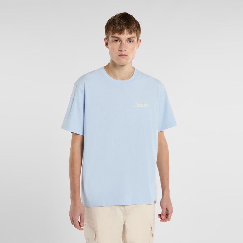 dickies-companion-script-azul-dk0a4z92k541-1.jpeg
