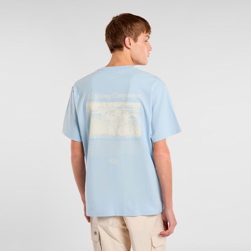 dickies-companion-script-azul-dk0a4z92k541-2.jpeg