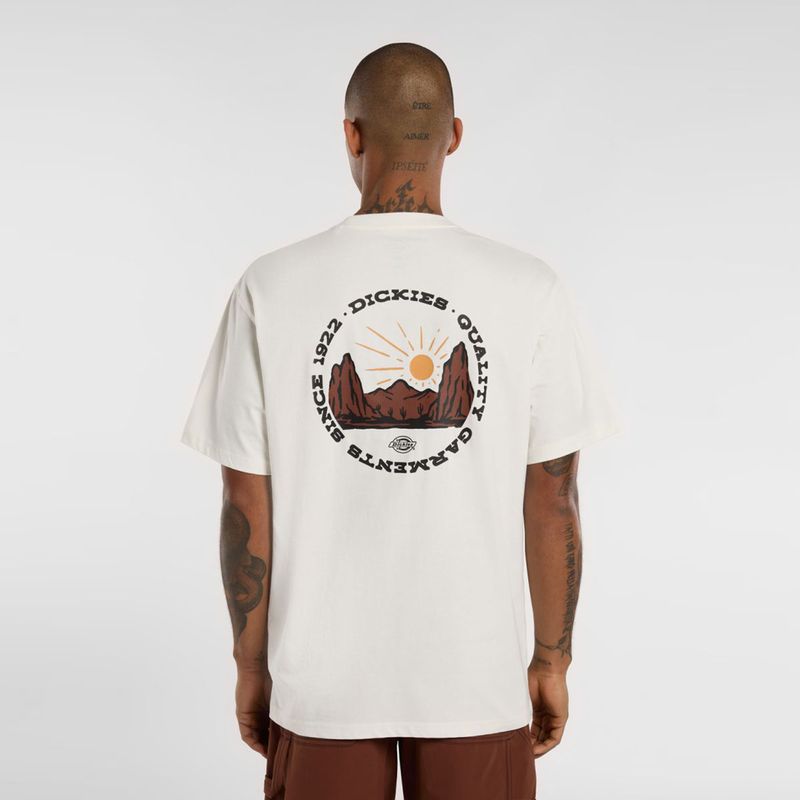dickies-outdoor-blanco-roto-dk0a4z8pc481-2.jpeg
