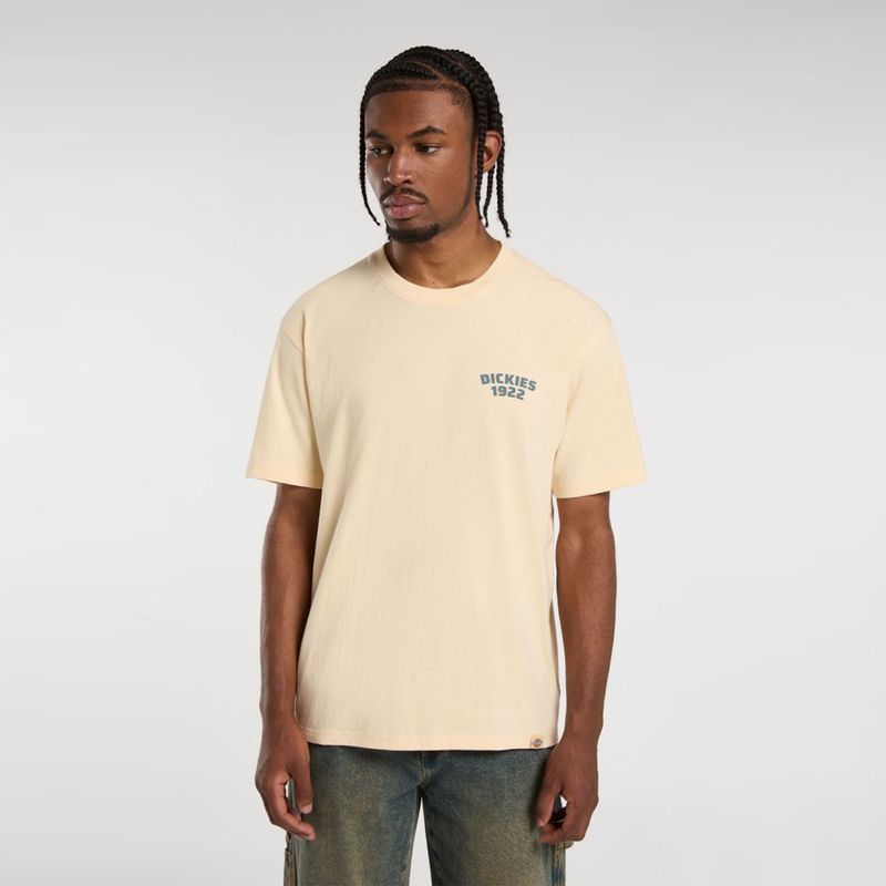 dickies-mechanic-beige-dk0a4z96k531-1.jpeg
