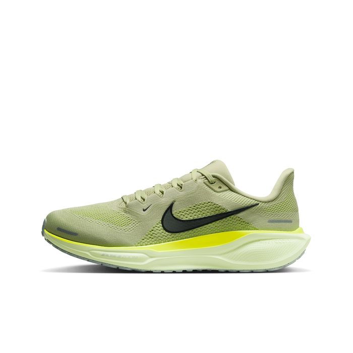Pegasus 41