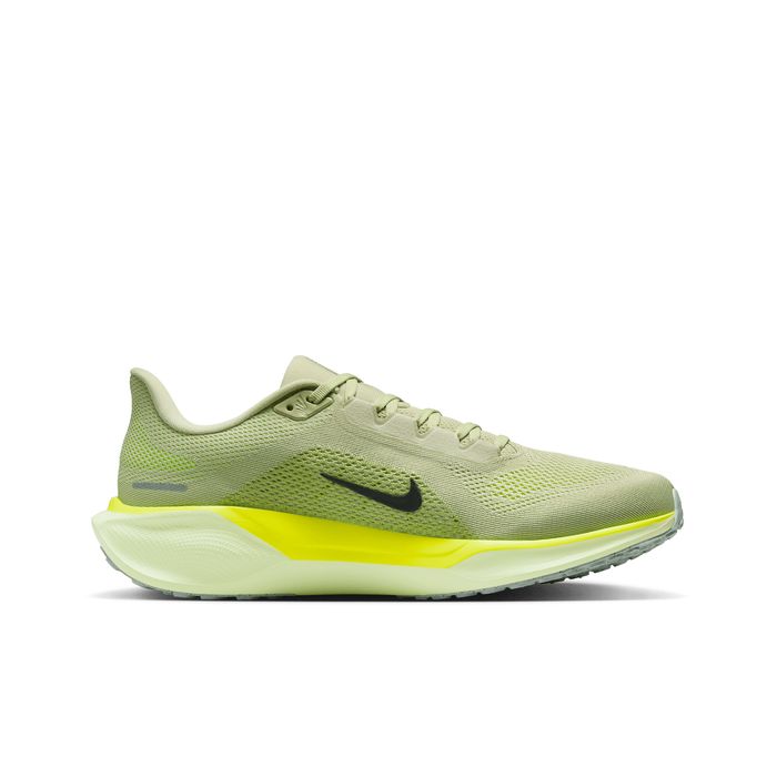 Pegasus 41