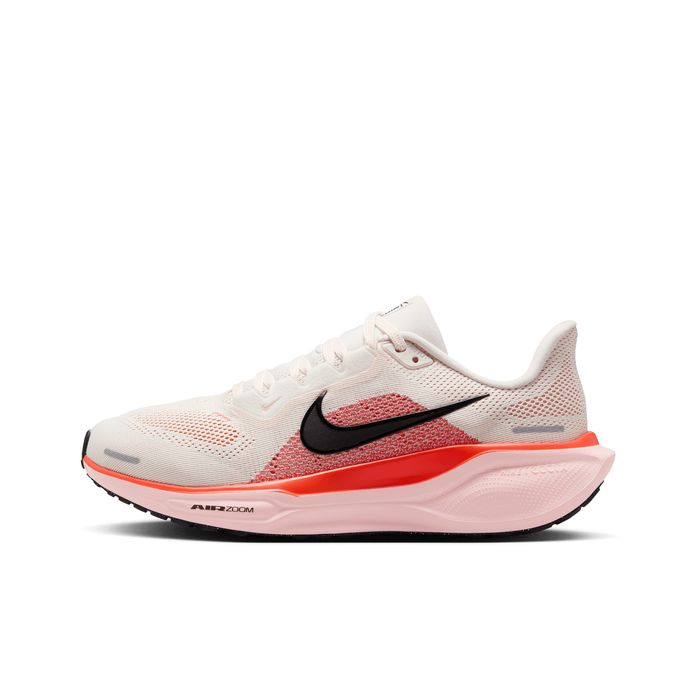 Pegasus 41