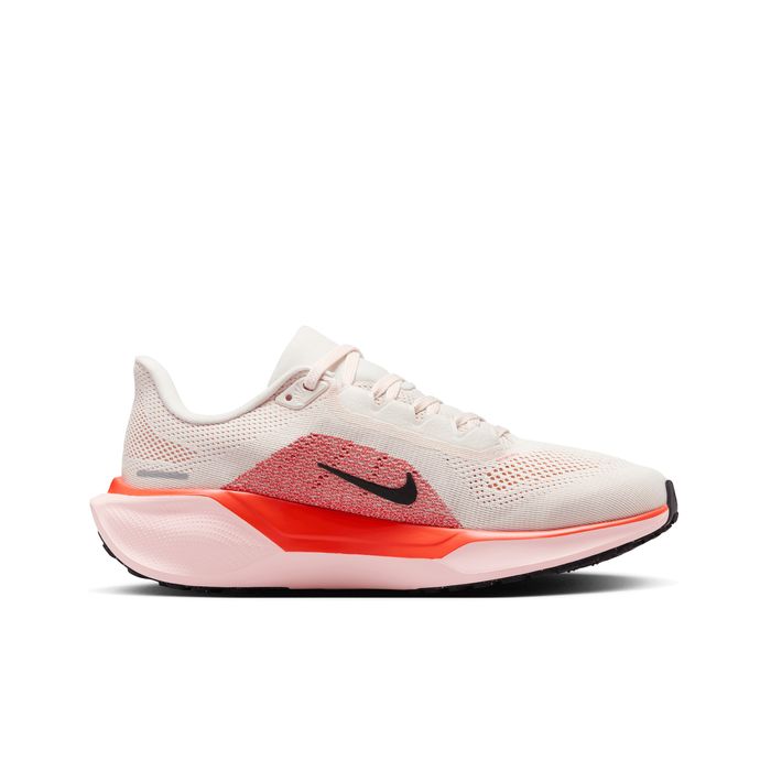 Pegasus 41