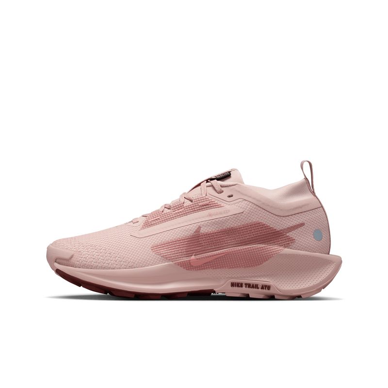 nike-pegasus-trail-5-gore-tex-rosas-fq0912-601-1.jpeg