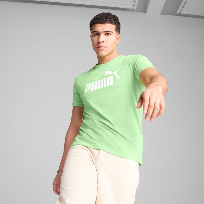 ESS con logo n.º 1