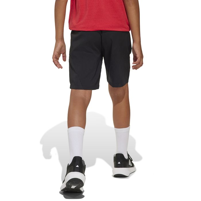 All Sports Favourite