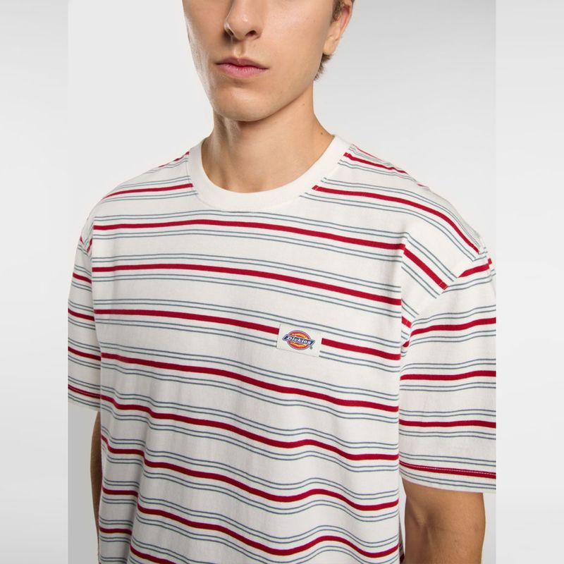 dickies-lewistown-rayas-dk0a4z8sc481-3.jpeg