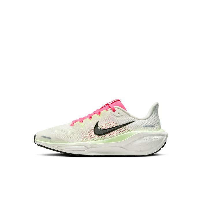 Air Zoom Pegasus 41
