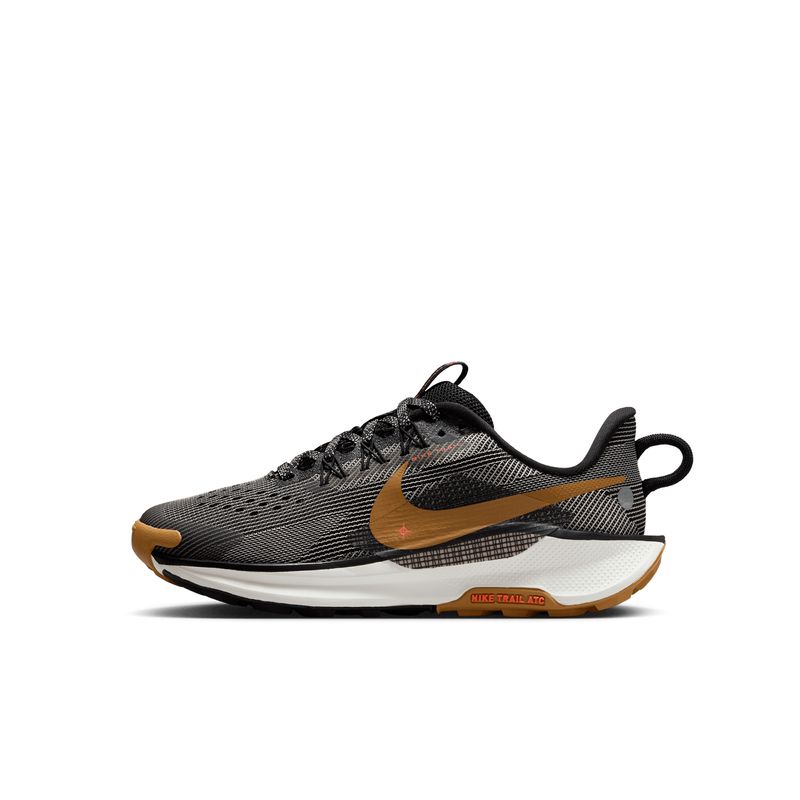 nike-pegasus-trail-5-multicolor-fv5638-005-1.jpeg