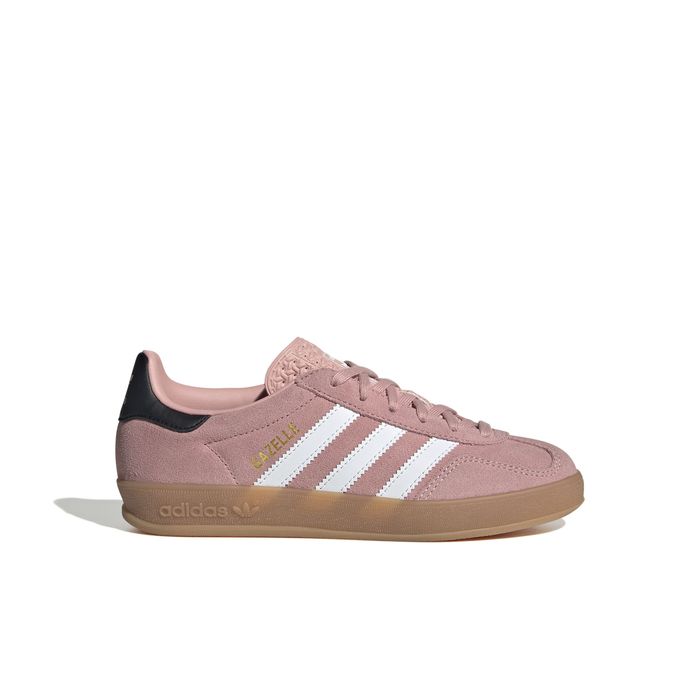 Gazelle Indoor