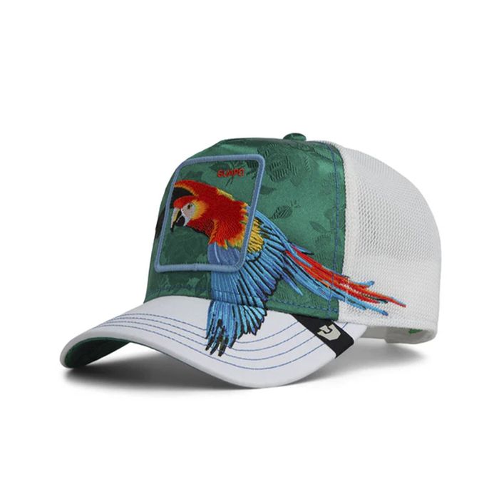Honduras Macaw
